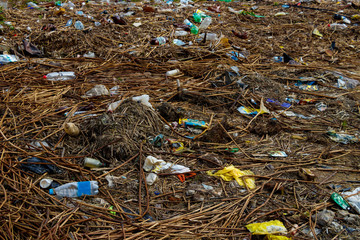 Plastic trash on the shore