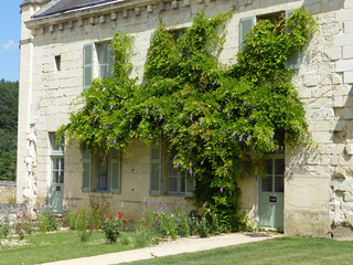 Abbaye royale de Fontevraud