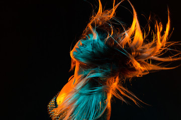 Alternative model with bangs and colored hair poses under teal and orange light wearing a fishnet top