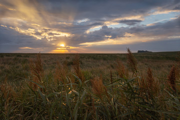 Sunrise over a field