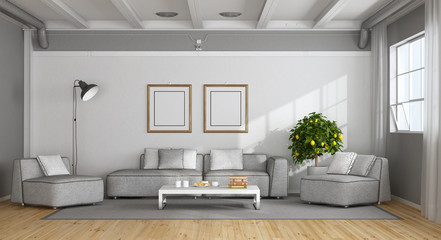 Fototapeta na wymiar White and gray modern living room