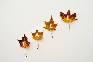 Naklejka premium Maple leaves with word FALL