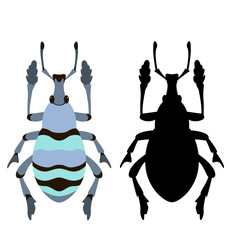 blue beetle bug vector illustration