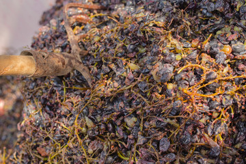 Wine-making. Technology of wine production. The folk tradition of making wine. Wine production in Moldova. The ancient tradition of grape processing.