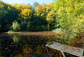 Fototapeta na wymiar Waldsee im Herbst