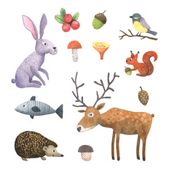 Funny watercolor forest animals set. Hand painted bear, fox, wolf, deer, hedgehog, hare, fish, squirrel, tit and mosquito isolated on white. Ideal for baby print, poster or nursery design