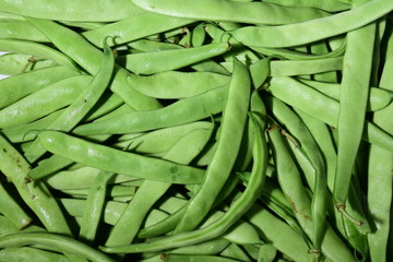 food, vegetable, green, fresh, bean, beans, healthy, organic, vegetarian, raw, agriculture, pod, market, vegetables, diet, pea, peas, nature, produce, nutrition, health, garden, plant, closeup, ingred