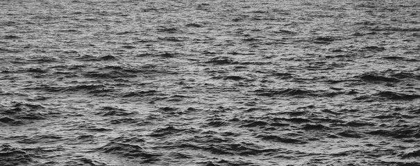 Water Surface Black and White Abstract Image. River or Sea Water Pattern with Small Waves, Natural Calm Water Background. Empty Black and White Wallpaper of Colorless Seaside Coastline Waters