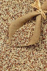 Organic red yellow and black quinoa with burlap scoop.