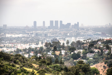 Fototapeta premium View over the green hills near Hollywood surrounding Los Angeles in the USA 