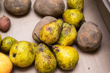 Stunned old potatoes and pears