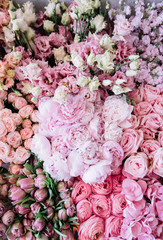 Beautiful blossoming flower bed of freshly delivered flowers at the florist shop: peonies, roses, ranunculus, tulips, carnations,eustoma lisianthks, hydrangea in tender pink colours, top view