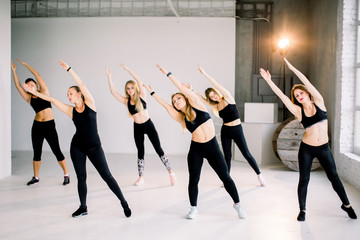 Fototapeta premium People at the health club with personal trainer, learning the correct form.