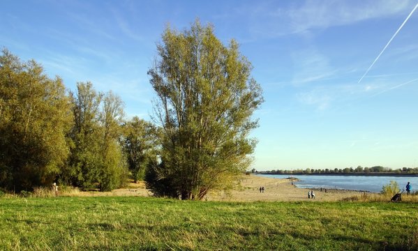 Niedrigwasser am Rhein