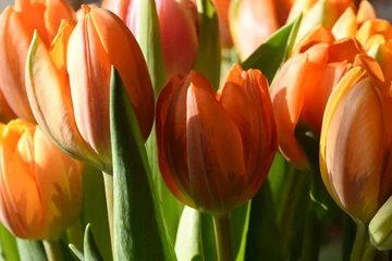 Fototapeten ein Strauß orangefarbener Tulpen in einer Vase © henkbouwers