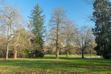 Fototapeta na wymiar Ville de Vichy dans l'Allier. Parc Napoléaon III