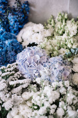 Beautiful blossoming flowers bed of white roses, ranunculus, mattiolas, lilac, eustoma, chrysanthemums and blue hydrangeas as one endless flower texture, top view. Fresh delivery at the florist shop