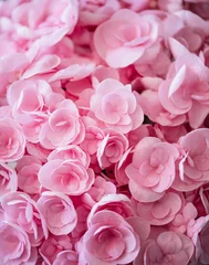 Fotobehang Hydrangea Beautiful vivid pink fluffy hydrangea close up texture