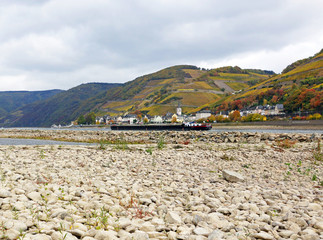 Niedrigwasser am Rhein durch Klimawandel, das stark ausgetrocknete Flussbett mit Weinbergen