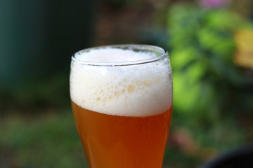bier schaum