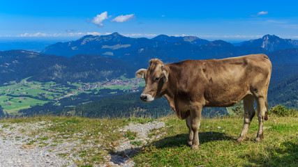 Fototapeta na wymiar Beautiful alpine view at Koessen - Austria