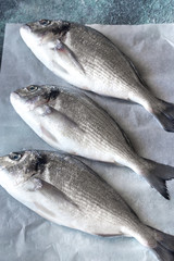Sea bream (dorada) fish