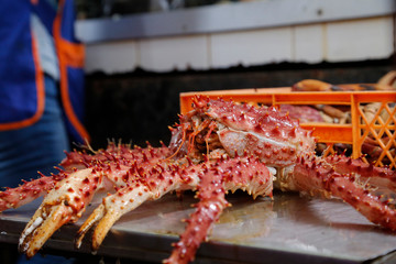 centolla