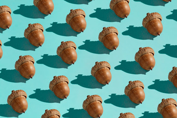 Background made from acorn on the blue background
