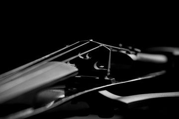 electronic violin on a black background