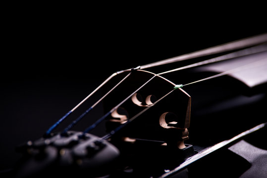 electronic violin on a black background