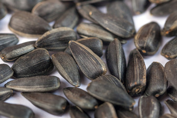 pile of organic sunflower seed for background