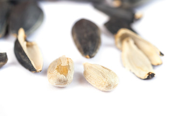 Sunflower seed open on white background, close up