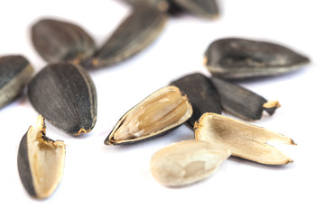 Sunflower seed open on white background, close up