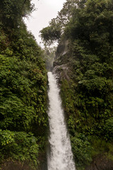 Fototapeta na wymiar La Paz Waterfall next to the turistic road, Alajuela, Vara Blanca, Costa Rica