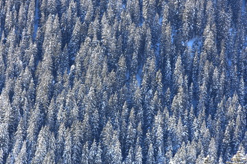Wintery mountain landscape with sunshine