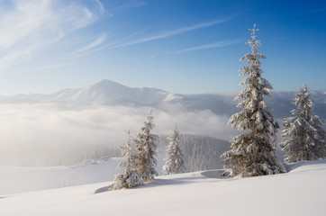 Christmas snow white landscape in the mountains