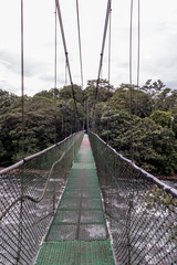 Sarapiqui adventure suspension Bridge Canopy Tours in the rain forest, Costa Rica