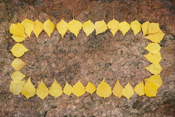Birch leaves in rectangular figure.