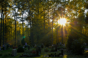 Fototapeta premium Waldfriedhof im Abendlicht
