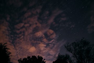 Fototapeta premium Sternennacht