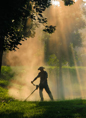 People cutting grass with brush cutter outdoor