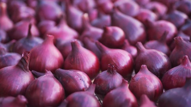 Many Red Onions Arranged on a Wire Rack