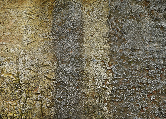 Real, nature color background of old painting wall