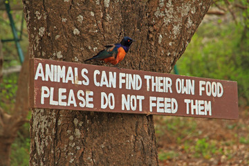 Do not feed animals sign and bird