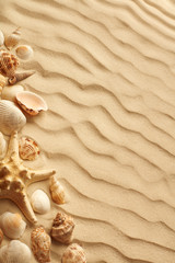 Fototapeta na wymiar top view of sand dunes with seashells and starfish