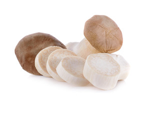 Slicse  King oyster mushrooms isolated on white background