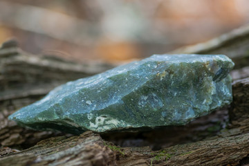 Natural raw Moss Agate specimen from Morocco on a tree bark in the forest preserve.