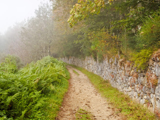 Obraz premium Camino track along a weathered stone wall in the morning fog - O`Cebreiro, Galicia, Spain