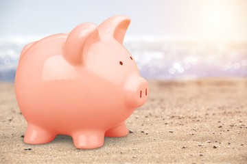 Piggy Bank Wearing Sunglasses Relaxing