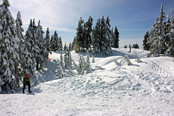 On Snowshoe Grind Above Grouse Mountain
